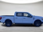 2021 F-150 Thumbnail 2