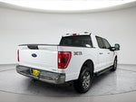 2021 F-150 Thumbnail 5