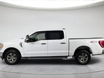 2021 F-150 Thumbnail 10