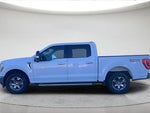 2021 F-150 Thumbnail 11