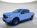 2021 F-150 Thumbnail 12