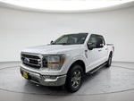 2021 F-150 Thumbnail 13