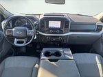 2021 F-150 Thumbnail 19