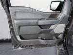 2021 F-150 Thumbnail 18