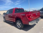 2021 F-150 Thumbnail 5