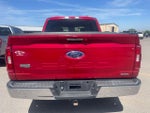 2021 F-150 Thumbnail 8
