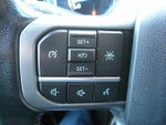 2022 F-150 Thumbnail 10