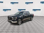 2022 F-150 Thumbnail 4