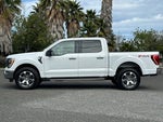 2022 F-150 Thumbnail 6