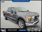 2022 F-150 Thumbnail 15
