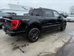 2022 F-150 Thumbnail 4