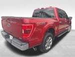 2022 F-150 Thumbnail 7