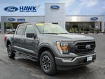 2022 F-150 Thumbnail 1