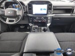 2022 F-150 Thumbnail 8