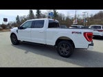 2022 F-150 Thumbnail 5