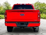2022 F-150 Thumbnail 4