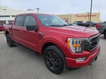 2022 F-150 Thumbnail 7