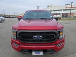 2022 F-150 Thumbnail 8