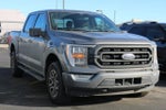 2022 F-150 Thumbnail 4