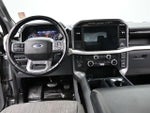 2022 F-150 Thumbnail 14