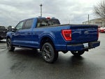 2022 F-150 Thumbnail 4