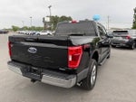 2023 F-150 Thumbnail 3