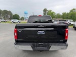 2023 F-150 Thumbnail 4