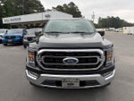 2023 F-150 Thumbnail 8