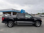 2023 F-150 Thumbnail 6