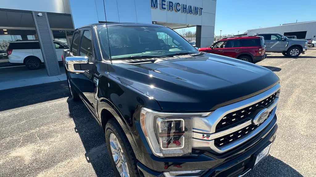 Preowned 2023 Ford F-150 XL for Sale