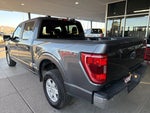2023 F-150 Thumbnail 6