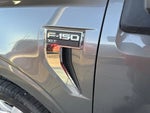 2023 F-150 Thumbnail 8