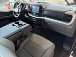 2023 F-150 Thumbnail 14