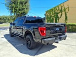 2023 F-150 Thumbnail 5