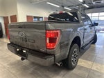 2023 F-150 Thumbnail 13