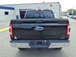 2023 F-150 Thumbnail 5