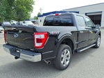 2023 F-150 Thumbnail 6