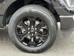 2023 F-150 Thumbnail 7