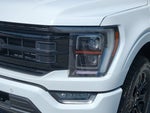 2023 F-150 Thumbnail 10