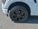 2023 F-150 Thumbnail 11