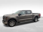 2023 F-150 Thumbnail 2