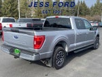 2023 F-150 Thumbnail 7