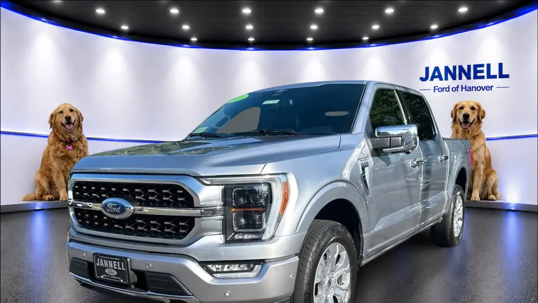 Preowned 2023 Ford F-150 XLT for Sale