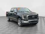 2023 F-150 Thumbnail 1