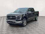 2023 F-150 Thumbnail 3