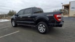 2023 F-150 Thumbnail 6