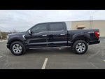 2023 F-150 Thumbnail 4