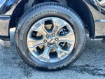 2023 F-150 Thumbnail 16