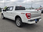 2023 F-150 Thumbnail 7