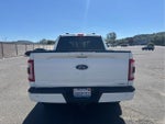 2023 F-150 Thumbnail 6